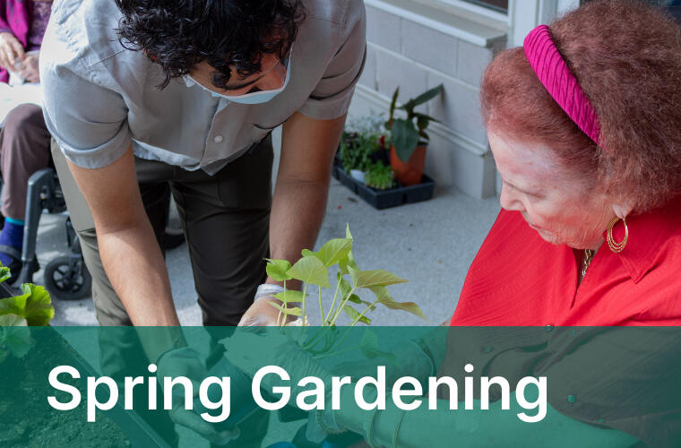 Man helping woman plant in a garden.